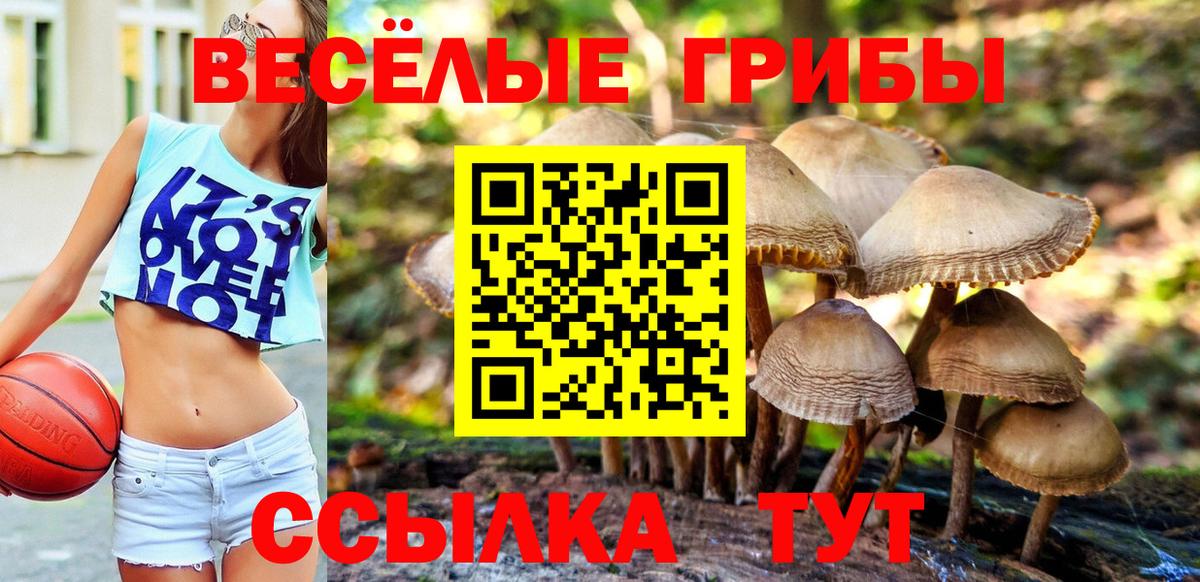 Псилоцибиновые грибы Psilocybe  где продают наркотики  Псилоцибиновые грибы мухоморы  Гурьевск  Вход с VPN 