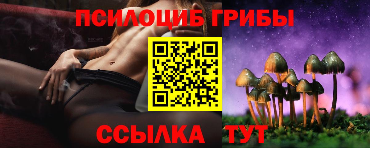 Галлюциногенные грибы ЛСД Гурьевск